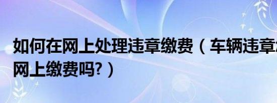 如何在网上处理违章缴费（车辆违章怎么处理网上缴费吗?）