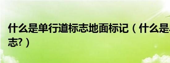 什么是单行道标志地面标记（什么是单行道标志?）