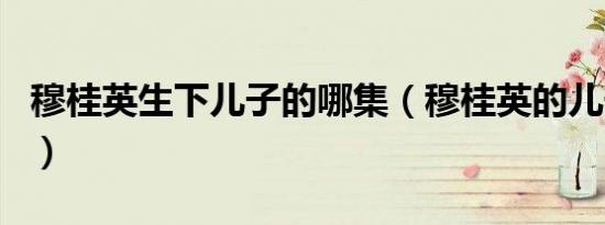 穆桂英生下儿子的哪集（穆桂英的儿子叫啥名）