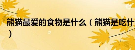 熊猫最爱的食物是什么（熊猫是吃什么食物的）