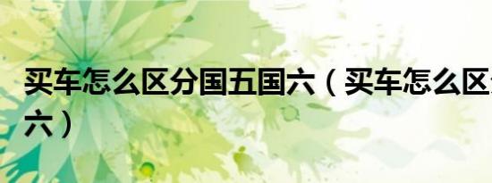 买车怎么区分国五国六（买车怎么区分国五国六）