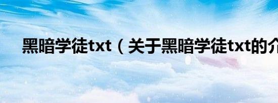 黑暗学徒txt（关于黑暗学徒txt的介绍）