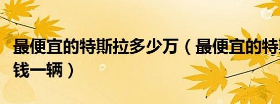 最便宜的特斯拉多少万（最便宜的特斯拉多少钱一辆）