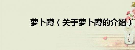 萝卜蹲（关于萝卜蹲的介绍）