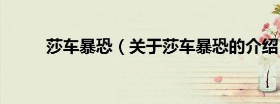 莎车暴恐（关于莎车暴恐的介绍）