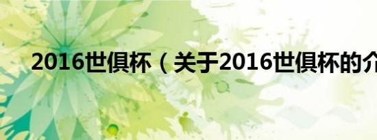 2016世俱杯（关于2016世俱杯的介绍）