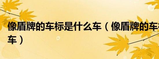 像盾牌的车标是什么车（像盾牌的车标是什么车）