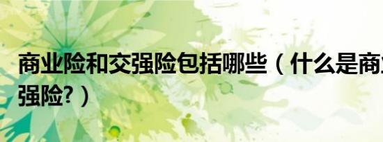 商业险和交强险包括哪些（什么是商业险和交强险?）