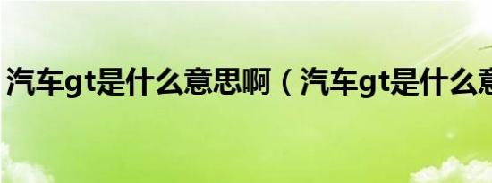 汽车gt是什么意思啊（汽车gt是什么意思啊）