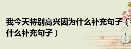 我今天特别高兴因为什么补充句子（我高兴得什么补充句子）