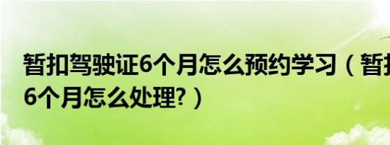暂扣驾驶证6个月怎么预约学习（暂扣驾驶证6个月怎么处理?）