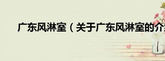 广东风淋室（关于广东风淋室的介绍）