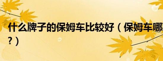 什么牌子的保姆车比较好（保姆车哪款最好用?）