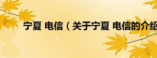 宁夏 电信（关于宁夏 电信的介绍）