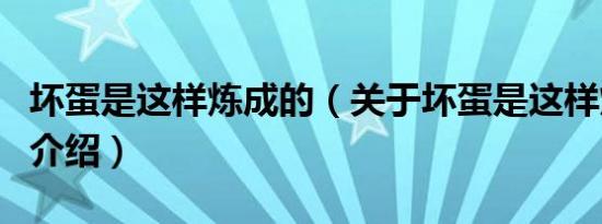 坏蛋是这样炼成的（关于坏蛋是这样炼成的的介绍）