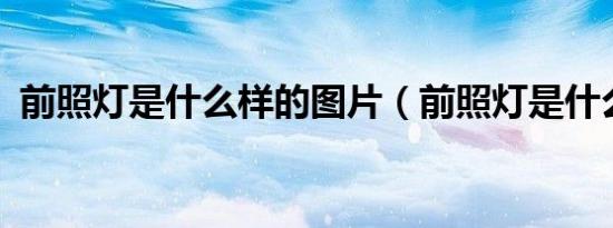 前照灯是什么样的图片（前照灯是什么灯?）