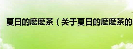夏日的麽麽茶（关于夏日的麽麽茶的介绍）