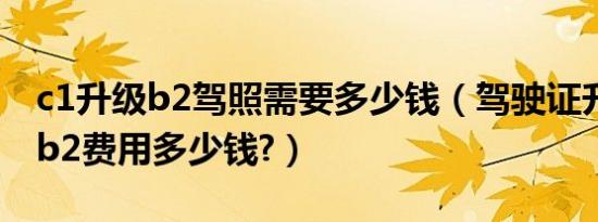 c1升级b2驾照需要多少钱（驾驶证升级c1升b2费用多少钱?）