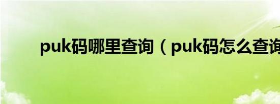 puk码哪里查询（puk码怎么查询）