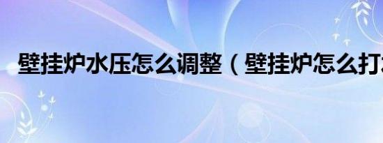 壁挂炉水压怎么调整（壁挂炉怎么打水压）