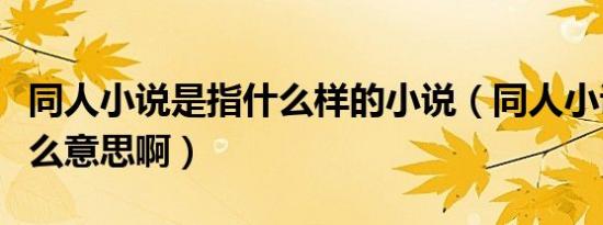 同人小说是指什么样的小说（同人小说是指什么意思啊）