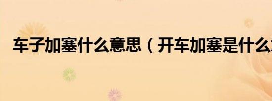 车子加塞什么意思（开车加塞是什么意思）