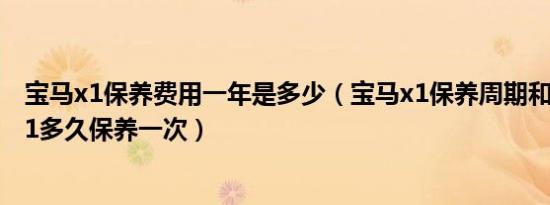 宝马x1保养费用一年是多少（宝马x1保养周期和费用宝马x1多久保养一次）