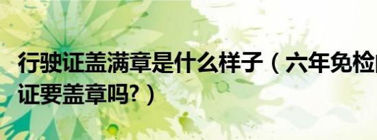 行驶证盖满章是什么样子（六年免检的车行驶证要盖章吗?）