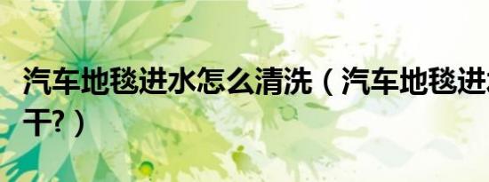 汽车地毯进水怎么清洗（汽车地毯进水怎么除干?）