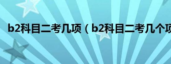 b2科目二考几项（b2科目二考几个项目?）