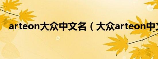 arteon大众中文名（大众arteon中文名）