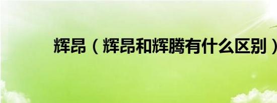 辉昂（辉昂和辉腾有什么区别）