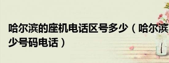 哈尔滨的座机电话区号多少（哈尔滨区号是多少号码电话）
