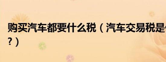 购买汽车都要什么税（汽车交易税是什么意思?）