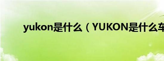 yukon是什么（YUKON是什么车）
