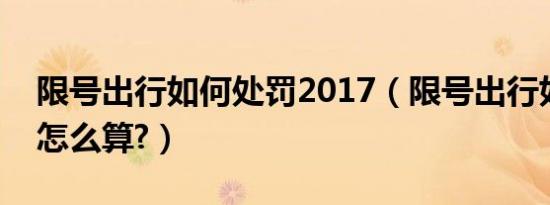 限号出行如何处罚2017（限号出行如何处罚怎么算?）