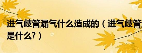 进气歧管漏气什么造成的（进气歧管漏气表现是什么?）