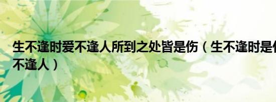 生不逢时爱不逢人所到之处皆是伤（生不逢时是什么意思爱不逢人）