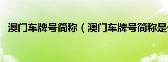 澳门车牌号简称（澳门车牌号简称是什么）