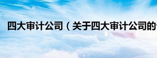 四大审计公司（关于四大审计公司的介绍）