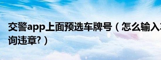 交警app上面预选车牌号（怎么输入车牌号查询违章?）