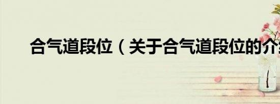 合气道段位（关于合气道段位的介绍）