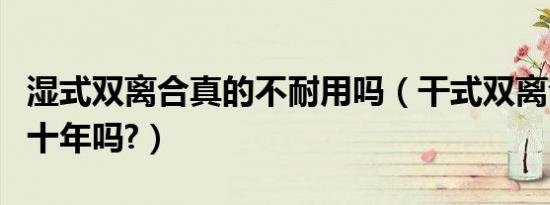 湿式双离合真的不耐用吗（干式双离合用的到十年吗?）