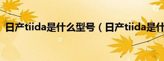 日产tiida是什么型号（日产tiida是什么车）