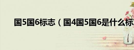 国5国6标志（国4国5国6是什么标志）