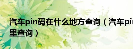 汽车pin码在什么地方查询（汽车pin码在哪里查询）