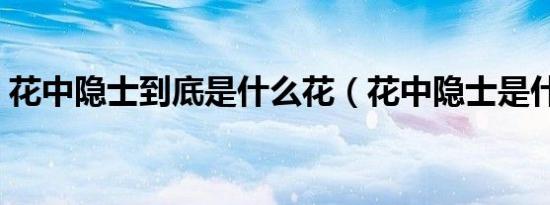 花中隐士到底是什么花（花中隐士是什么花）