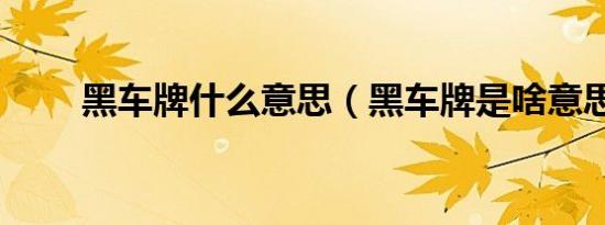 黑车牌什么意思（黑车牌是啥意思）