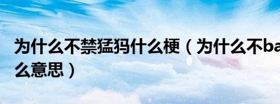 为什么不禁猛犸什么梗（为什么不ban猛犸什么意思）