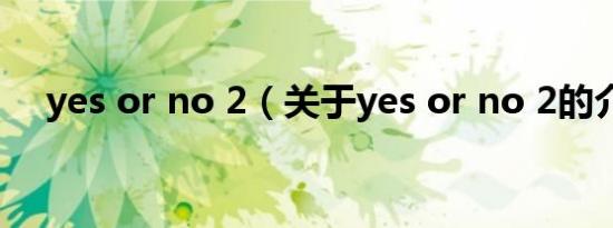 yes or no 2（关于yes or no 2的介绍）